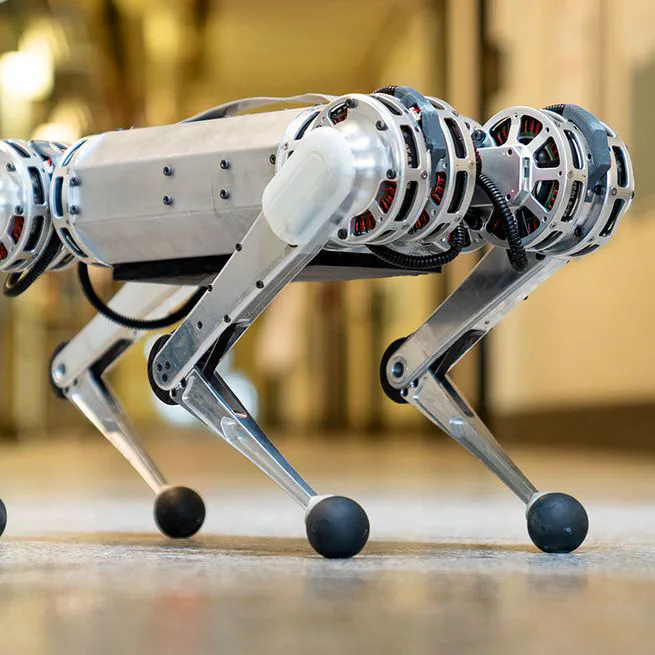 Mini Cheetah